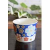 Sobachoko Stylish Tableware, Kutani Ware, Soba Inokuchi, Cherry Blossom Pattern,