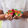 Jelly Beans - 3 Pound Bulk Pack - Fruit and