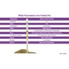One Step 10 x Vet Pet Urine Test Strips -