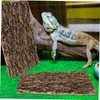 Garneck Cork Bark Back Panel for Terrarium, 30 x 20