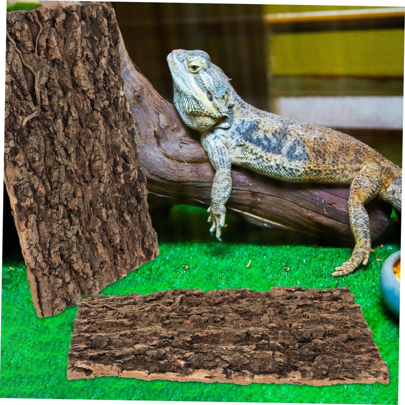 Garneck Cork Bark Back Panel for Terrarium, 30 x 20