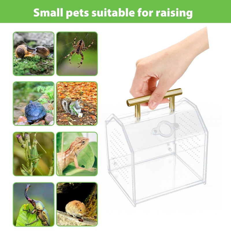 Jumping Spider Enclosure, Insect Terrarium, Praying Mantis Habitat, Reptile Enclosure,Spider