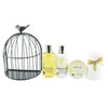 Gloss. Bath Metal Cage Argan Oil – Pack of 4 (1 Pack of 700 ml