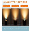 [6 Pack] CLOUDY BAY 9W Well Lights Landscape LED In