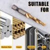 GOLD DEER 13 Pcs Tap Drill Set for Drill Taps,