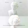 Horiuchi Kogyo Napure Mirror, Professional Model Folding Mirror, LL Size,