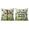 QIONG MENG St Patricks Day Pillow Covers 18x18 Inch Set