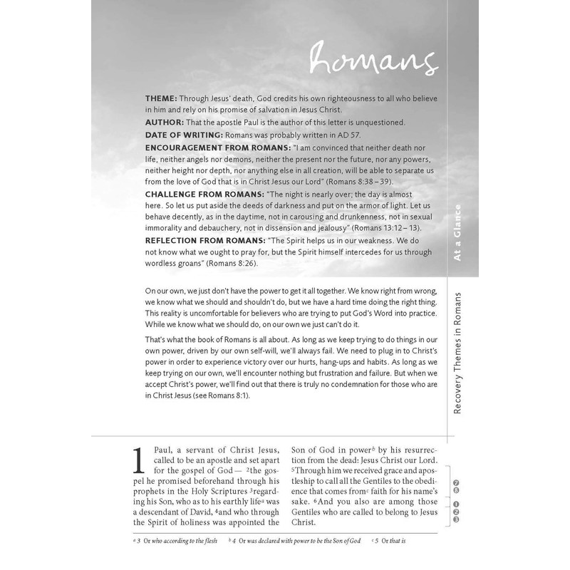 NIV, Celebrate Recovery Study Bible