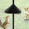 Gosknor Pack of 2 Squirrel Protection for Bird Feeders, 35.5