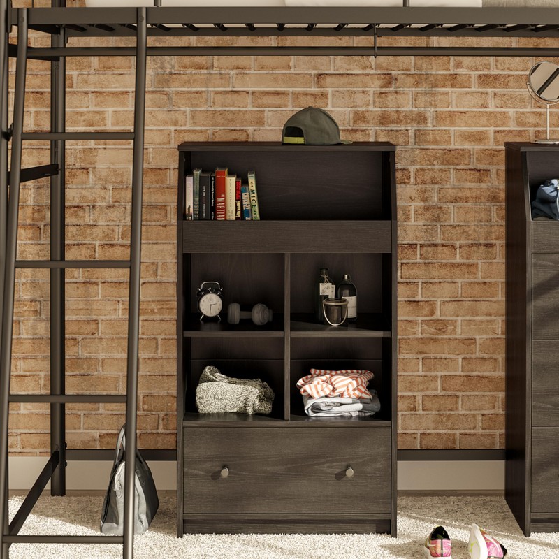 Ameriwood Home The Loft 2 Door Storage Tower, Black Oak