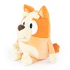 Jay Franco Bluey Bingo Plush Pillow Buddy - Super Stuffed