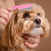 3 Pcs Flea Comb,Lice Comb Pet Hair Cleaning Grooming Set,