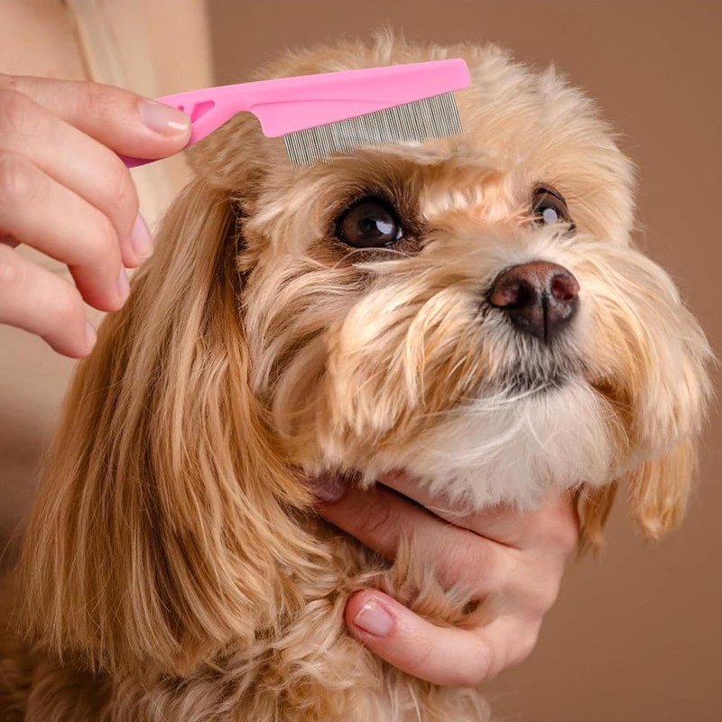 3 Pcs Flea Comb,Lice Comb Pet Hair Cleaning Grooming Set,