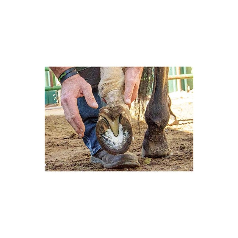 Hoof Trimming Disc Professional Electric Hoof Repair Tool High Working