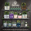 PlantFusion Vegan Iron Supplements from, Premium Plant Based Iron Supplements