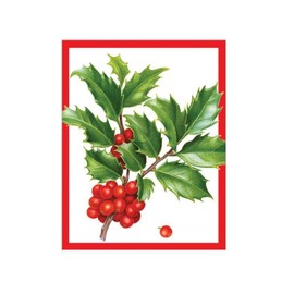 Caspari Christmas Trimmings Gift Enclosure Cards - 20 with Envelopes