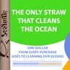 SeaTurtle Reusable Silicone Straws - 10 Pack - /w Cotton