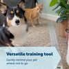 PetSafe ScatMat Indoor Pet Training Mats - Helps Prevent Furniture