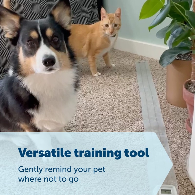 PetSafe ScatMat Indoor Pet Training Mats - Helps Prevent Furniture