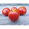 Stupice Tomato Premium Seeds for Planting Packet