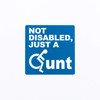 Not Disabled Just A Bad Parking Space Bay Bumper Sticker