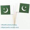JBCD Pakistan Toothpick Flag Pakistani Mini Small Cupcake Topper Flags,