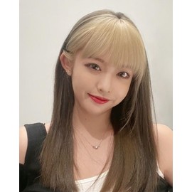 Hair Clip in Bangs Extension Air Bangs Wispy French with Clip on Flat Neat Fringe Natural Hairpieces for Women