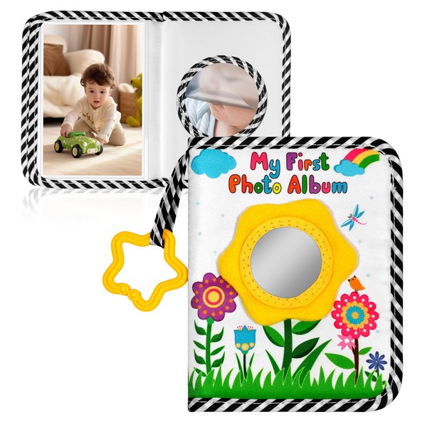 My First Book Of Photos, Baby's My First Family Album,