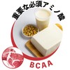 BCAA 50g パウダー 計量スプーン付き