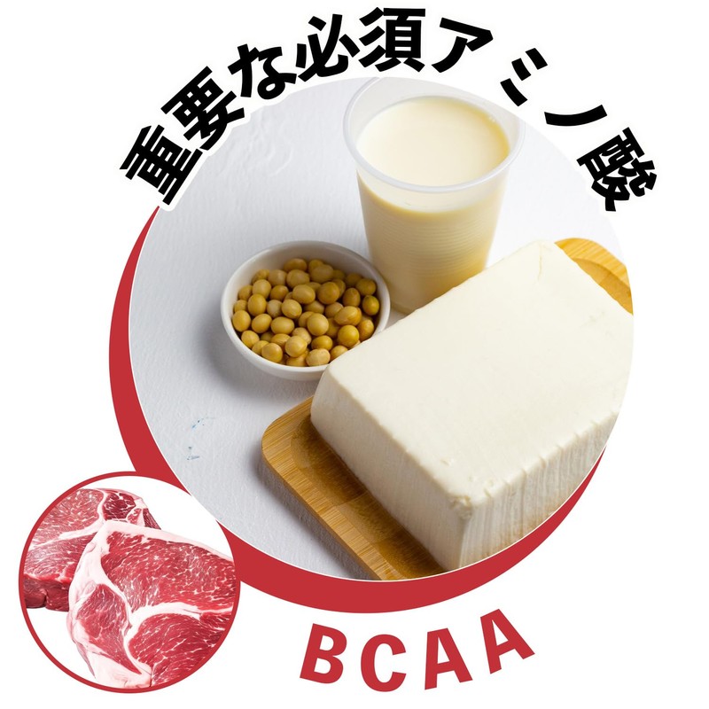 BCAA 50g パウダー 計量スプーン付き