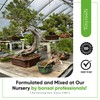 Bonsai Outlet Bonsai Soil Mix - Tinyroots All Purpose Bonsai