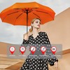 SIEPASA Windproof Travel Compact Umbrella-Automatic Umbrellas for Rain-Compact Folding Umbrella,