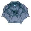 Collapsible Fishing Trap for Shrimp and Bait Fish – Foldable