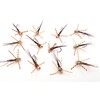 Rubberleg Pheasant Tail Nymph (12 Flies)