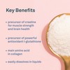 Organika Glycine Powder - Proteinogenic Amino Acid - Aids Protein