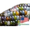 Glass Gem Corn Seeds (200 Seeds) - USA Grown by