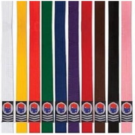 ProForce Extra Long Karate/Martial Arts Rank Belts (Red, 8-145")