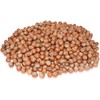 Anna and Sarah 10 Lbs Oregon Large Hazelnuts In shell,