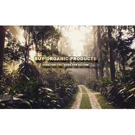 Ausha Organic Haritaki Powder 200g | Terminalia Chebula l Constipation Relief,Detox| Certified Organic…