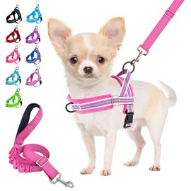 Eyein Dog Harness with Lead for Medium Small Dogs, Soft Padded No-Pull Chest Harness with 2 Lead Clips, Lightweight Reflective Harness, Adjustable Neck and Chest (Rose Red, XXS)