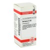 Berberis D 30 Globules 10 g