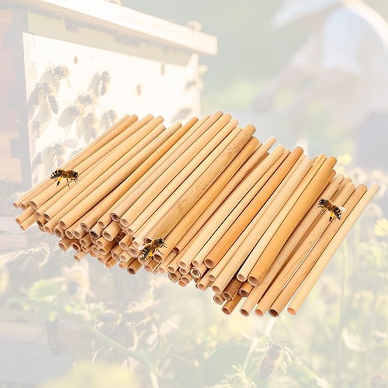 100Pcs Natural Mason Bee Tubes Eco-Friendly Beekeeper Nesting Refill Tubes