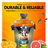 Eurolux Hands-Free Electric Citrus Juicer Machine, Orange Lime Grapefruit Lemon