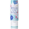 UV Forecast Refreshing UV Foam Gel 2024