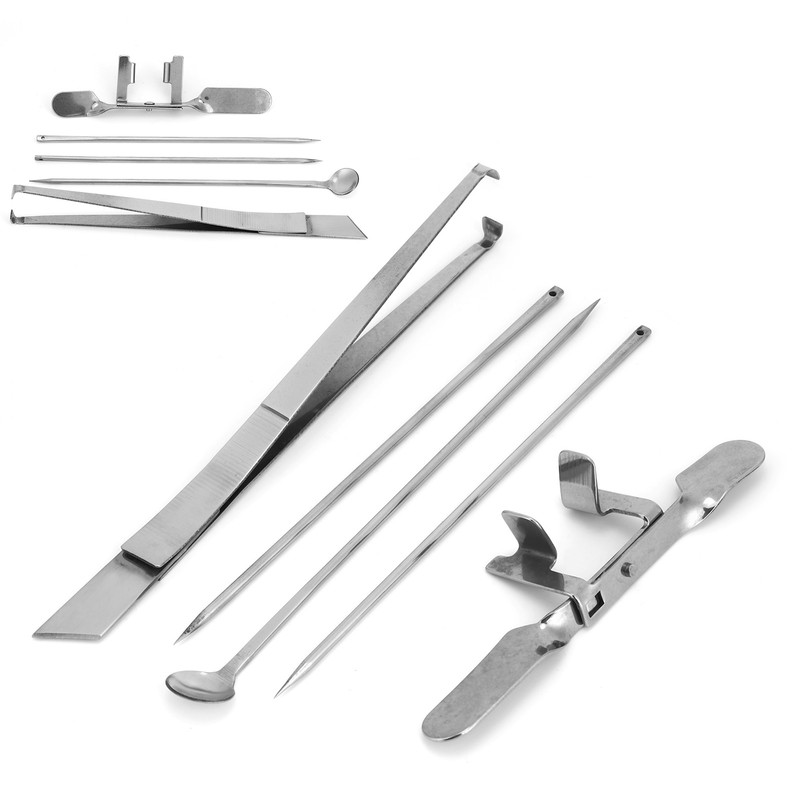 5Pcs Capon Knife Tool Stainless Steel Kit Poultry Farms Veterinary