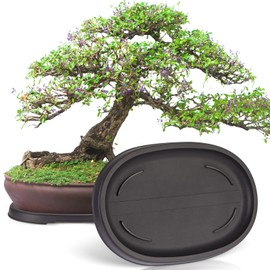 Pinkunn 2 Pack Bonsai Humidity Tray Drip Tray Plastic Plant Water Catcher Plant Saucers for Indoors and Outdoors Cactus, Succulents, Bonsai Tree, Stone Not Included (12.7 x 8.3 Inch)