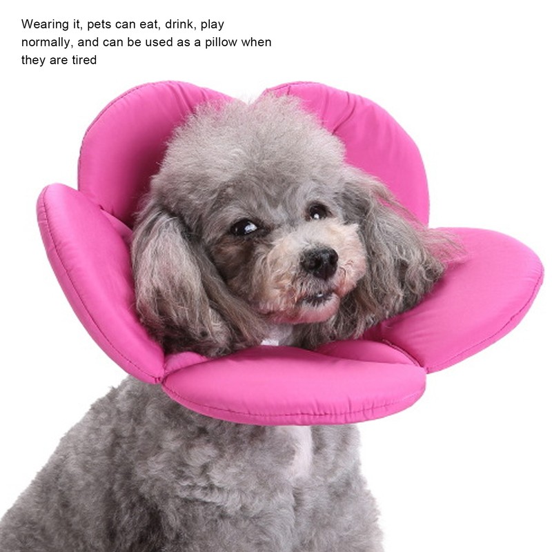 Dog Protective Collar Adjustable Pet Wound Recovery Flower Shape Neck