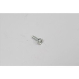 Echo - bolt, torx 4x12