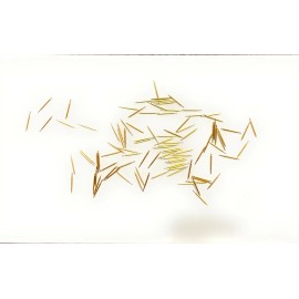 SEMICONDUCTOR POGO PIN 0.5MM (100 PCs)
