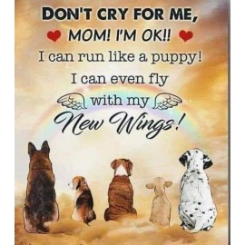 Inspirational    dog  heavan refrigerator magnet  3 1/2"x 4 1/2" Made in the USA